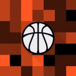 basketball companion android application logo